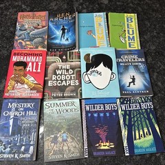 Lot of 12 Chapter Books BOYS Youth Early Reader Young Adults Children Adventure