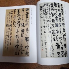 Tsujimoto Shimura Art Book 37cm x 27cm 246 Pages Limited Edition Exhibition