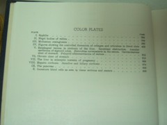 Pathology W A D Anderson 1948 1183 Illustrations 10 Color Plates