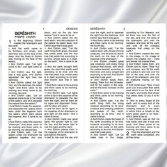 HalleluYah Scriptures LARGE PRINT & 2 Books Set