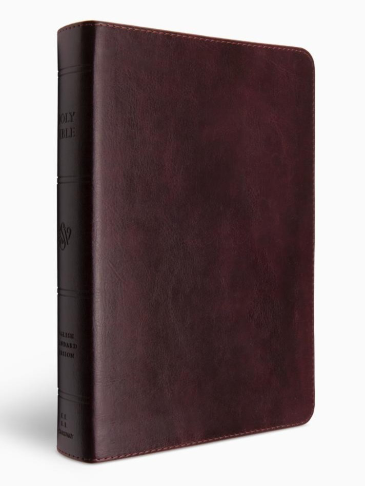 ESV Giant Print Personal Size Bible, Red Letter, TruTone, Mahogany