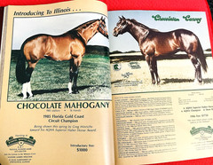 SALE ENDS 6/15! 1986 QUARTER HORSE JOURNAL Book – DYNAMIC DELUXE, ZAN PARR BAR