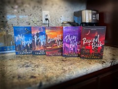 Windy City Series Special GOLDEN-UK Edition By Liz Tomforde: 5 Books Set