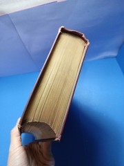 The Life and Times of Niccolo Machiavelli Vol. 2 Book 1891 Volume II Padquale