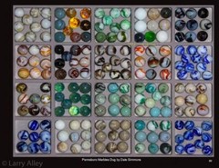 Alley Agate Marbles Photo Book 5 (rev 4) – Add Memory Card to Book Order