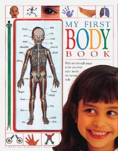 My First Body Book (DK Games) – Hardcover By DK – GOOD