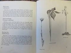 The First Book of Wild Flowers (1961) by Betty Cavanna Pictures Page Cary HC