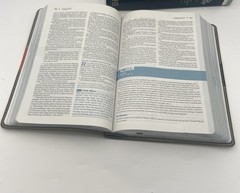 NIV, Student Bible, Compact, Leathersoft, Gray/Green Lay Flat Design
