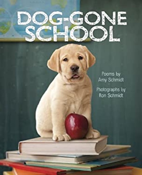 Dog-Gone School Picture Book Amy Schmidt