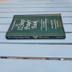 The 12 Step Prayer Book 2nd Edition Volume 1 Bill P & Lisa D Paperback
