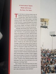Taylor Swift: This Is Our Song Hardcover 2016 Harry N. Abrams Illustrated YA