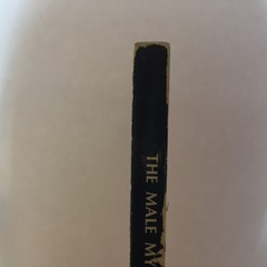 The Male Mystique Urban G Steinmetz 1970 Ave Maria Press Marriage Expectations