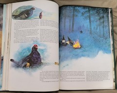 Secrets of the Gnomes by Rien Poortvliet and Wil Huygen (1982, Hardcover)