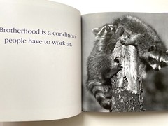 Book” Yo Bro!: My Brother, My Friend” by Tom Burns size 6.5×6.5in.