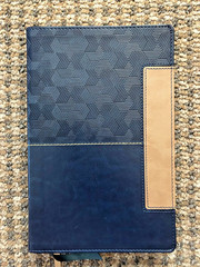 Zondervan NIV Thinline Bible: Comfort Print, blue Leathersoft, gilt page edging
