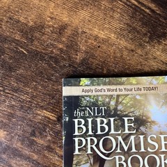 NLT Bible Promise Book for Tough Times by Ronald A. Beers (2011, Trade…