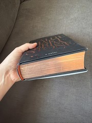 Brimstone (Deluxe Limited Edition) by Callie Hart (Hardcover) 1st Edition