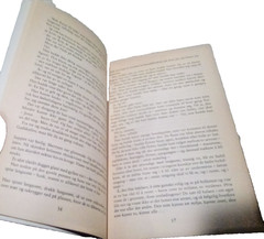 Norwegian and Icelandic Book Lot – Assorted Genres and Themes