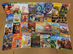 Lot of 10 Level 2~RL~Ready to-I Can Read-Step into Reading-Learn Read Books MIX