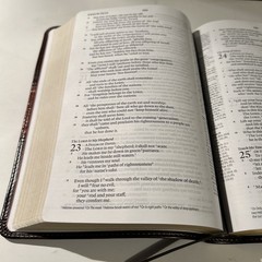 ESV Personal Reference Holy Bible Brown Tan Tru-Tone Single Column Side Ref.