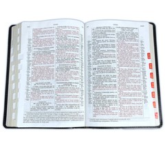 Biblia Scofield de Estudio Pastoral Reina Valera 1960 piel negro con indice