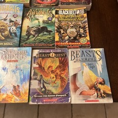 Chapter Books Fantasy-Lot of 18-dragons, Warriors, Narnia, Choose Own Adventure
