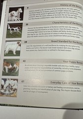 Borzoi By Dr. Desiree Scott 155 Page Book 2002 Interpet Publishing 135 Pictures