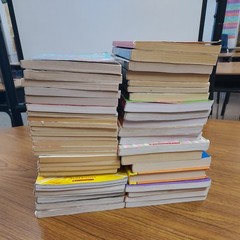 Mixed Lot of 45 Kids Graphix & Chapter Books RL4, Classroom Library Homeschool