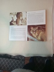 $3.45 – Discover New Zealand, booklet, Wild Animals of New Zealand
