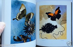 2008 THEATER of INSECTS Jo Whaley hb/128pp/ART – BUTTERFLIES – INSECTS – UNIQUE