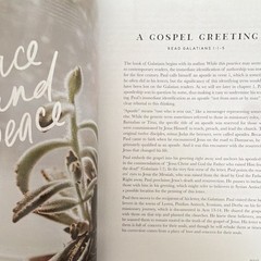 The Daily Grace Co. By Faith Galatians Study Guide Glenna Marshall PB 2019