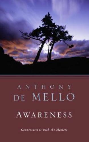 Awareness: The Perils and Opportunities of Reality – Paperback – VERY GOOD