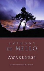 Awareness: The Perils and Opportunities of Reality – Paperback – VERY GOOD