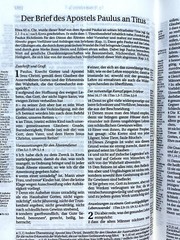 German Bible, Die Bibel, Schlachter 2000, Imitation Leather, Brown Black 2-toned