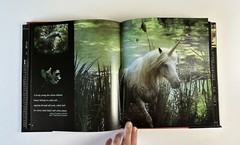 The Unicorns of Kilimanjaro by Robert Vavra First Edition fantasy photography