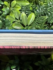 BAGS: A Lexicon of Style Bag Design & Usage Visual Guide Fashion Book