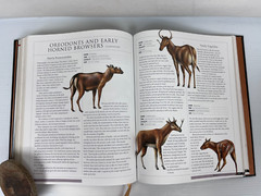 RARE „The Illustrated Encyclopedia of the Prehistoric World” 512 Pgs 9 X 11.5″