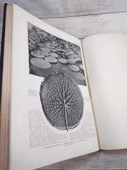 L’Illustration Vol 180 July-Sept 1932 Bound Volume French Illustrated Magazine