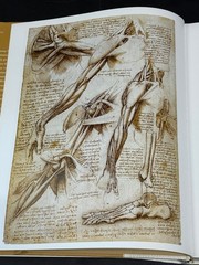 Classic Human Anatomy Valerie L. Winslow Hardcover 2008 Art Reference Book