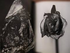Nobuyoshi Araki „Erotos” Photo Book First edition Hardcover Japanese