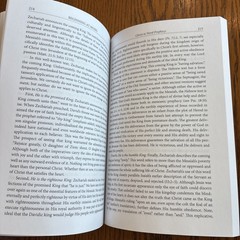 Beginning At Moses By Michael P. V. Barrett PB