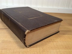 The Story of the Irish Race, Seumas MacManus, 1922 Hardcover, 3rd Edition