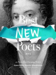 Best New Poets 2013: 50 Poems from Emerging Writers – Paperback – GOOD