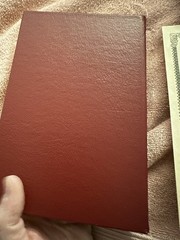 Flatsigned Braveheart: Novel and Screenplay