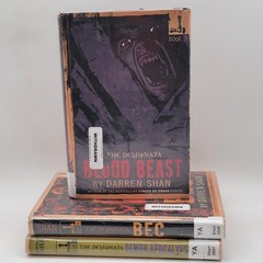 Darren Shan The Demonata Books 4 5 6 Hardcover Ex-Library Bec Blood Beast Fair