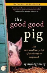 The Good Good Pig: The Extraordinary Life of Christopher Hogwood – GOOD
