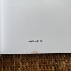 Layla Moon Books – Lot Of 3 – Paperback – Números Angelicales- El Único Libro –