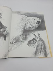 NOAH’S ARK Animal Art by Rien Poortvliet Netherlands 1986