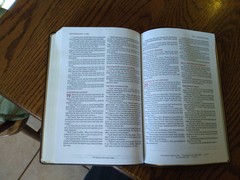 NASB 1995 Preachers Bible – $79.99 Retail – Brown LeatherSoft Lays Flat