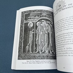 Magdalene’s Ascension : Mary’s Journey to Becoming Light by Annine van der Meer